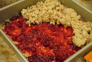 Cranberry-Oat Breakfast Bars